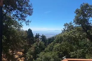 21425 Sawpit Canyon Rd, Cedarpines Park, CA 92322 - Photo 65