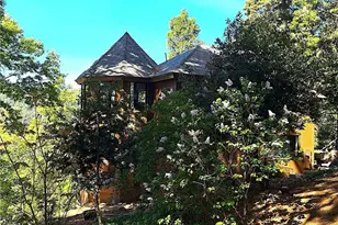 21425 Sawpit Canyon Rd, Cedarpines Park, CA 92322 - Photo 45