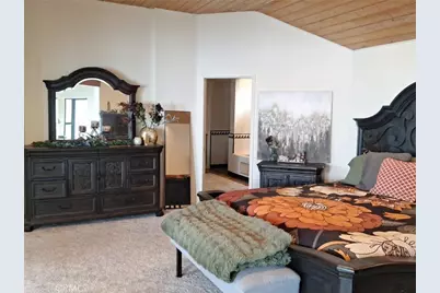 21425 Sawpit Canyon Road, Cedarpines Park, CA 92322 - Photo 25