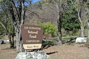 13992 Irving Ln, Lytle Creek, CA 92358 - Photo 23