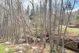 29949 Hook Creek, Cedar Glen, CA 92321 - Photo 1