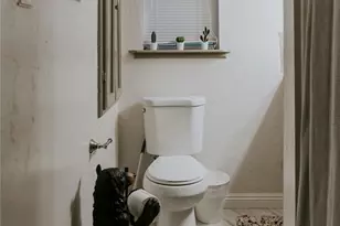 2352 Pine Dr, Running Springs, CA 92382 - Photo 15