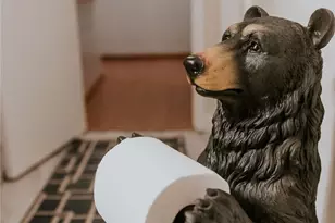 2352 Pine Dr, Running Springs, CA 92382 - Photo 17