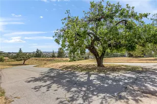 10207 Juniper Ave, Yucaipa, CA 92399 - Photo 59