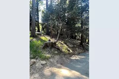 0 Forest Vw, Arrowhead, Twin Peaks, CA 92391 - Photo 3