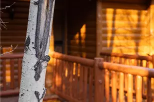 43300 Deer Canyon, Big Bear Lake, CA 92315 - Photo 13