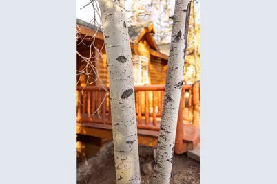 43300 Deer Canyon, Big Bear Lake, CA 92315 - Photo 17