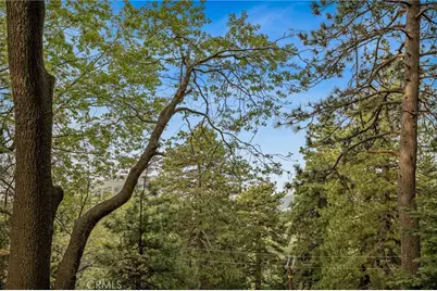 30668 Ferndale, Running Springs, CA 92382 - Photo 25