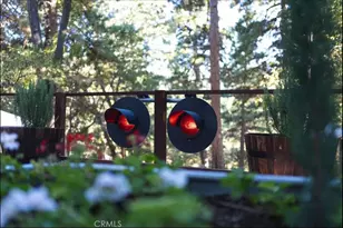 21875 Sawpit Canyon Rd, Cedarpines Park, CA 92322 - Photo 11