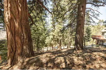 30908 Glen Oak, Running Springs, CA 92382 - Photo 7