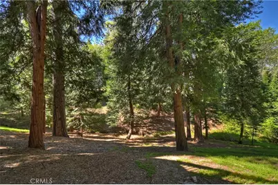 355 Cedar Ridge Drive, Lake Arrowhead, CA 92352 - Photo 41