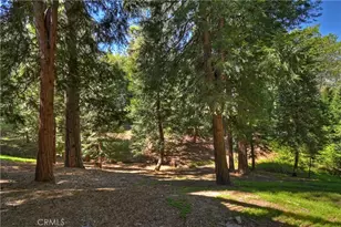 355 Cedar Ridge Dr, Lake Arrowhead, CA 92352 - Photo 41