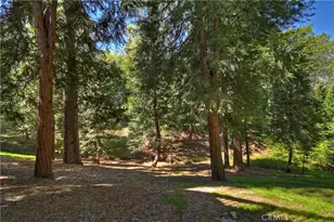 355 Cedar Ridge Dr, Lake Arrowhead, CA 92352 - Photo 41