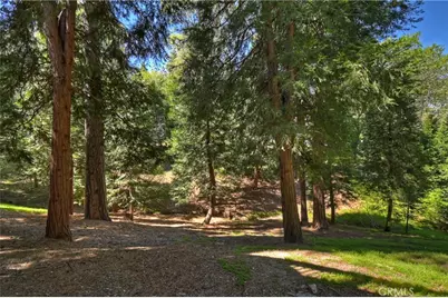 355 Cedar Ridge Drive, Lake Arrowhead, CA 92352 - Photo 41