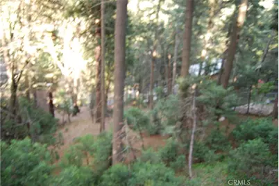807 Sierra Vista, Twin Peaks, CA 92391 - Photo 29
