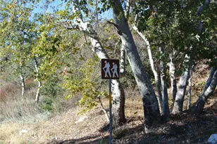 13926 Pollard Dr, Lytle Creek, CA 92358 - Photo 17