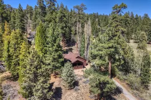 4 Lakeview Track, Fawnskin, CA 92333 - Photo 41