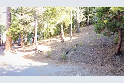 330 Castle Gate Road, Lake Arrowhead, CA 92352 - Photo 11