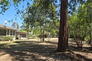 11817 Peach Tree, Yucaipa, CA 92399 - Photo 5