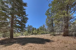 22 Polique Canyon, Fawnskin, CA 92333 - Photo 33