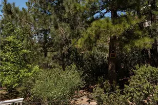 27322 Matterhorn, Lake Arrowhead, CA 92352 - Photo 27