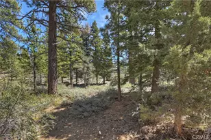 1099 Canyon, Fawnskin, CA 92333 - Photo 5