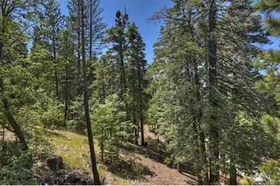 26285 Spyglass Drive, Lake Arrowhead, CA 92352 - Photo 31
