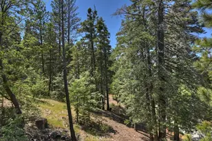 26285 Spyglass Dr, Lake Arrowhead, CA 92352 - Photo 31