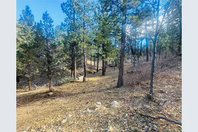 899 Kern Avenue, Sugarloaf, CA 92386 - Photo 1