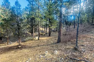 899 Kern Ave, Sugarloaf, CA 92386 - Photo 1