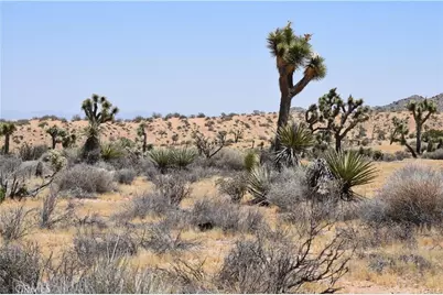 0 Palomar, Yucca Valley, CA 89121 - Photo 13