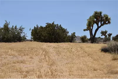 0 Palomar, Yucca Valley, CA 89121 - Photo 7