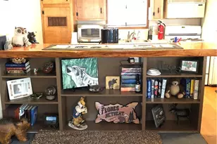 1060 Eagle Mountain Dr, Big Bear City, CA 92314 - Photo 3