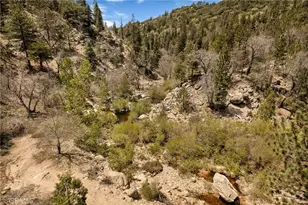 33141 Big Bear Lk Rd, Running Springs, CA 92382 - Photo 9