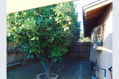 33763 Noreen, Yucaipa, CA 92399 - Photo 59
