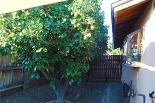 33763 Noreen, Yucaipa, CA 92399 - Photo 59
