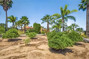 11530 Terracina Blvd, Redlands, CA 92373 - Photo 49
