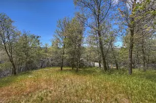28669 Teton Ln, Lake Arrowhead, CA 92352 - Photo 41