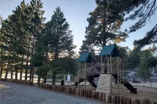 33429 Robin Dr, Green Valley Lake, CA 92341 - Photo 71