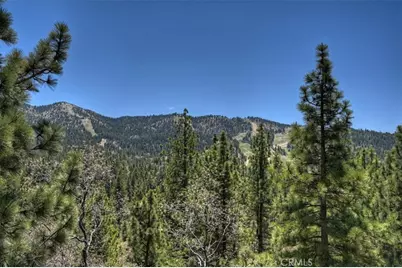 43510 Sheephorn, Big Bear Lake, CA 92315 - Photo 63