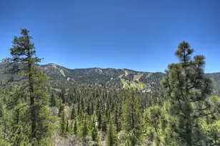 43510 Sheephorn, Big Bear Lake, CA 92315 - Photo 61