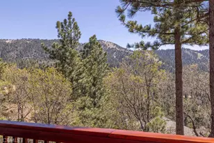 43855 Wolf, Big Bear Lake, CA 92315 - Photo 49