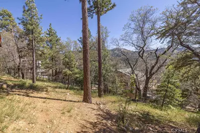 43855 Wolf, Big Bear Lake, CA 92315 - Photo 57