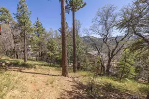 43855 Wolf, Big Bear Lake, CA 92315 - Photo 57