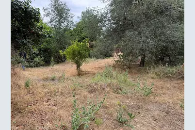 2415 Sierra, Upland, CA 91784 - Photo 29