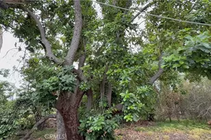 2415 Sierra, Upland, CA 91784 - Photo 23