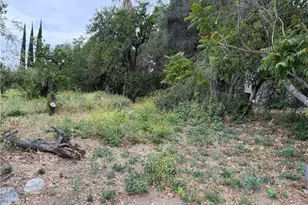 2415 Sierra, Upland, CA 91784 - Photo 9
