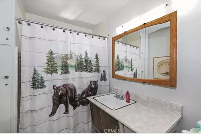 39605 Lake, Big Bear Lake, CA 92315 - Photo 35