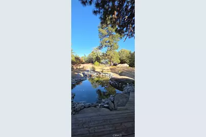 550 Coyote Trail, Cedarpines Park, CA 92325 - Photo 5