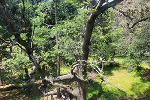 550 Coyote Trail, Cedarpines Park, CA 92325 - Photo 7